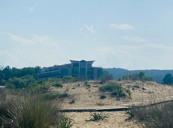 Apartman 31 South Pearl Homes